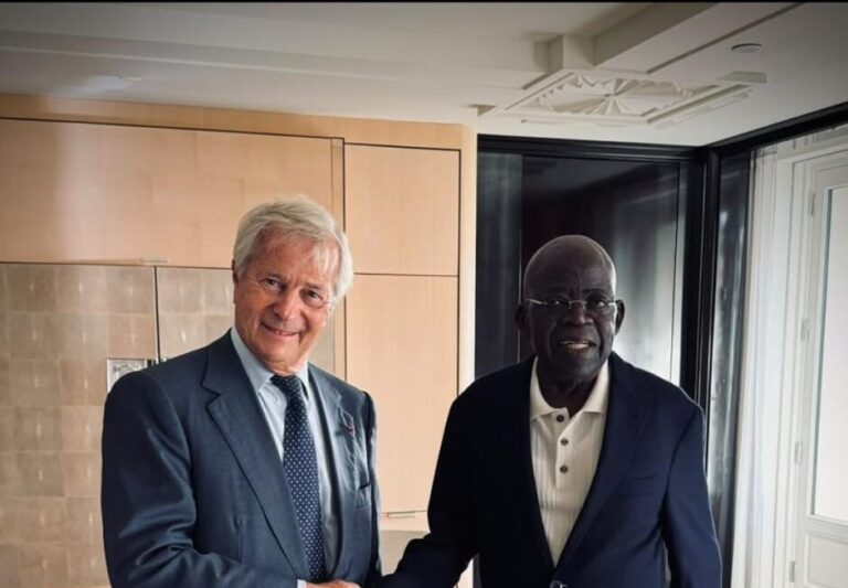 President Bola Tinubu meeting French businessman Vincent Bollore in Paris in September 2026