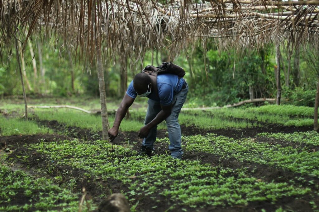 Farmer walking through a cultivated field, illustrating practical agricultural training