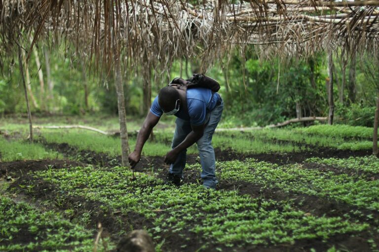 Farmer walking through a cultivated field, illustrating practical agricultural training