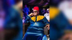 Ambassador Patrick Dele Cole, Nigerian diplomat, journalist and elder statesman
