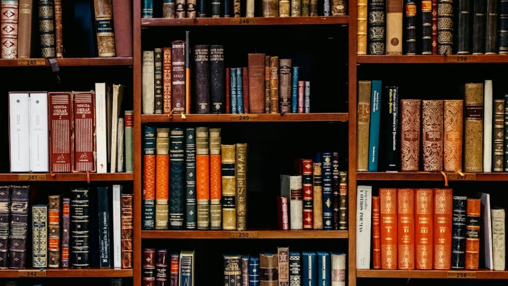 Books on shelves in a Bilbao bookshop, an illustrative file photograph for university education