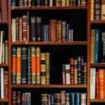 Books on shelves in a Bilbao bookshop, an illustrative file photograph for university education