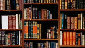 Books on shelves in a Bilbao bookshop, an illustrative file photograph for university education