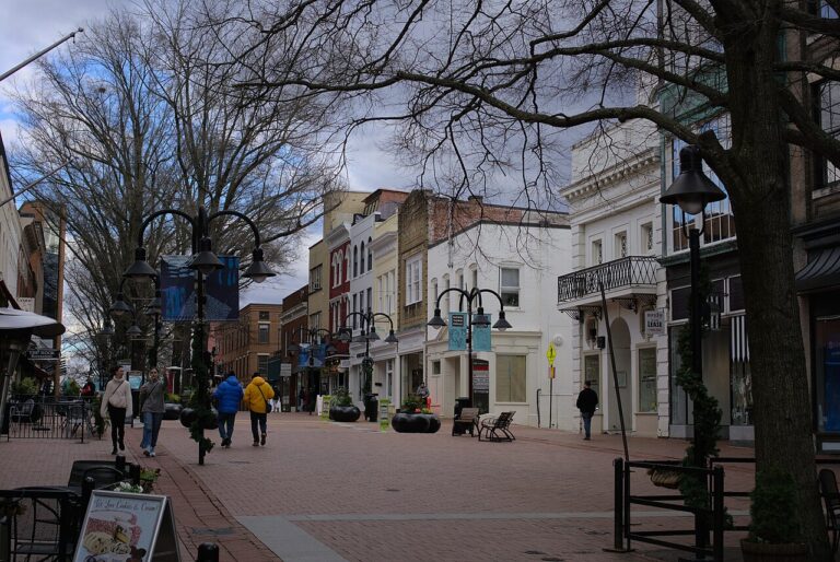 Charlottesville’s Downtown Mall in January 2024, used as a location illustration for a book event.