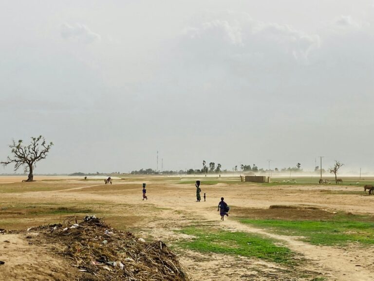 A dust storm over Tilembeya in Mali's Mopti region, used as an illustrative landscape image