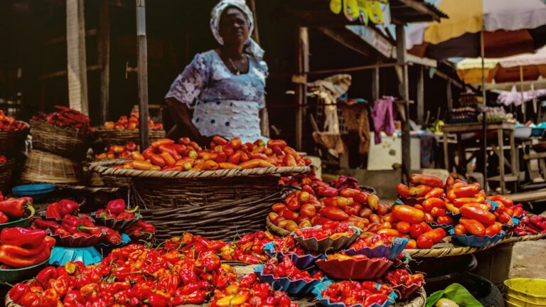 A market trader in Nigeria, illustrating the civilians affected by the Zamfara market convoy ambush