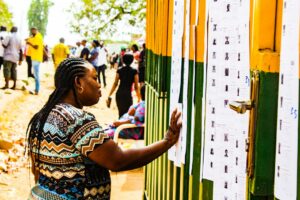 A Nigerian voter checks for her name on the voters list during the 2019 general election