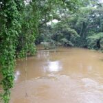 Osun River in Osogbo, photographed on 16 August 2019; archive location illustration, not the excavated pottery or research team.