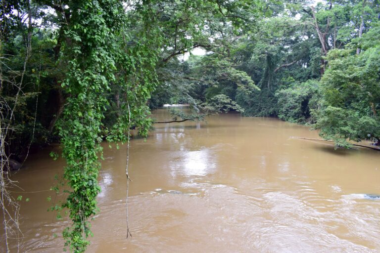 Osun River in Osogbo, photographed on 16 August 2019; archive location illustration, not the excavated pottery or research team.
